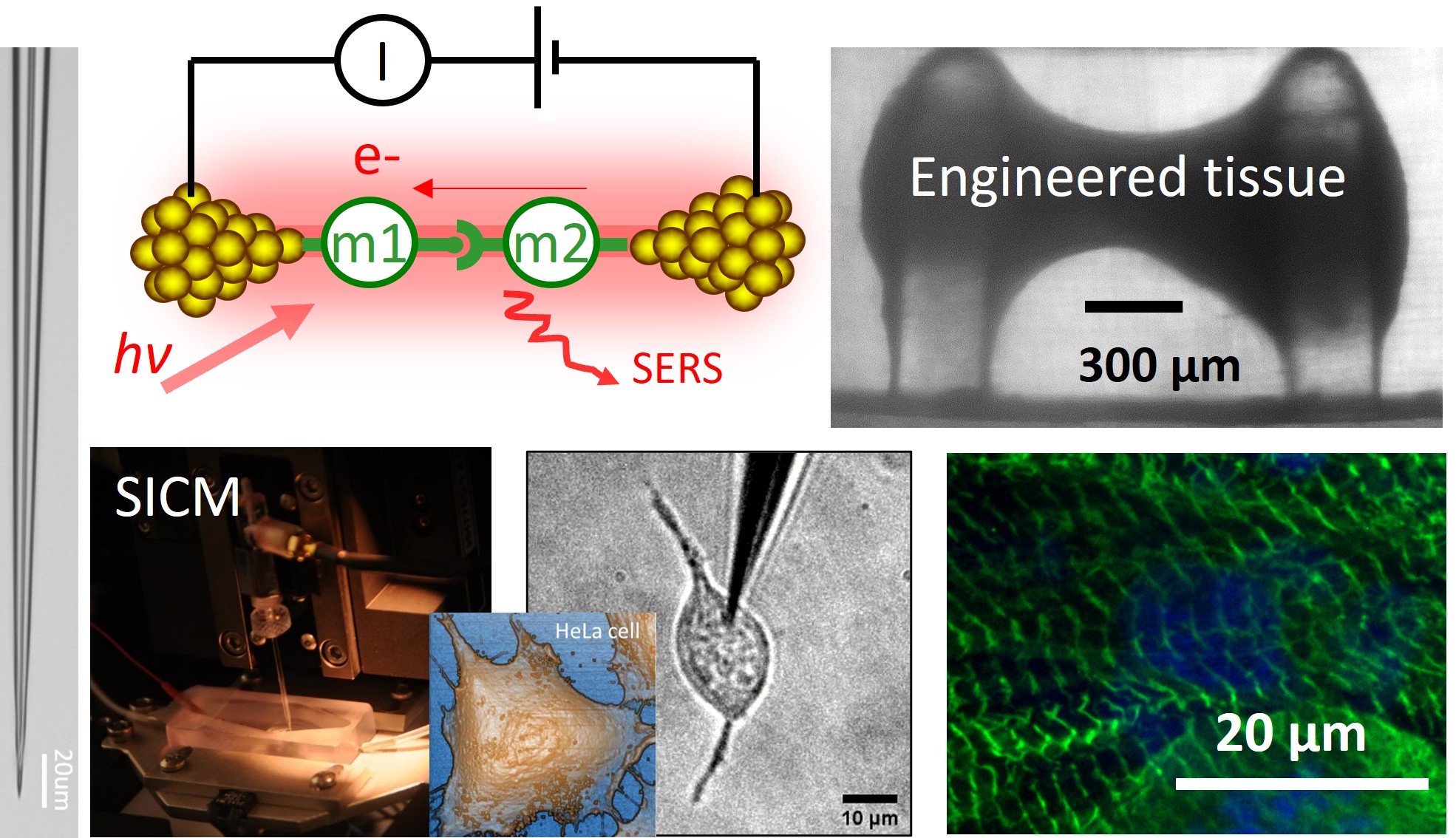 Nano-Bio Research